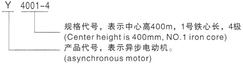 西安泰富西玛Y系列(H355-1000)高压YJTG-355M-10A/90KW三相异步电机型号说明