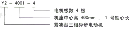 YR系列(H355-1000)高压YJTG-355M-10A/90KW三相异步电机西安西玛电机型号说明